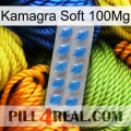 Kamagra Soft 100Mg 22